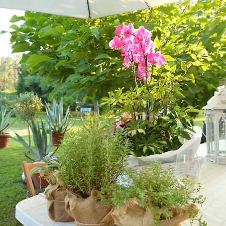 Bed and Breakfast Bed & Tours Dimora Di Campagna Castelnuovo Belbo Экстерьер фото
