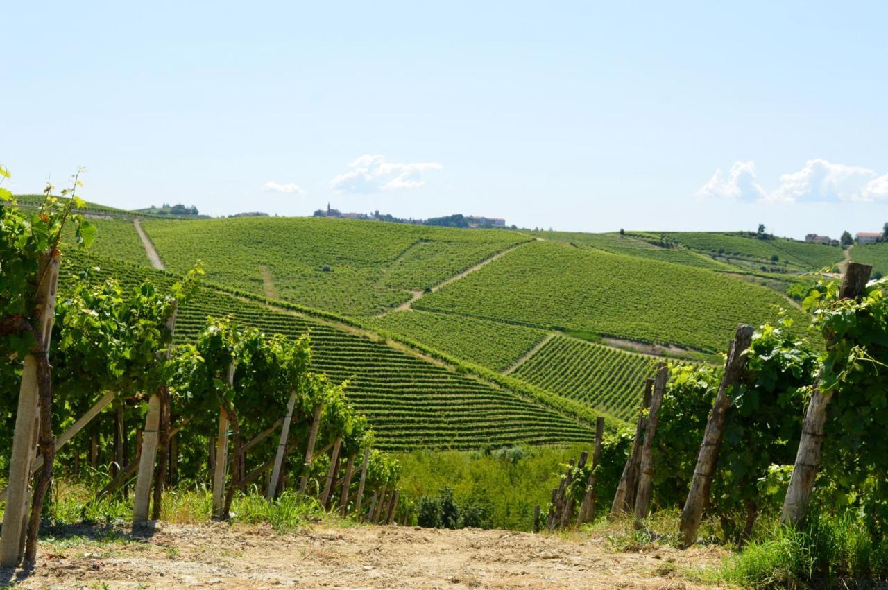 Bed and Breakfast Bed & Tours Dimora Di Campagna Castelnuovo Belbo Экстерьер фото