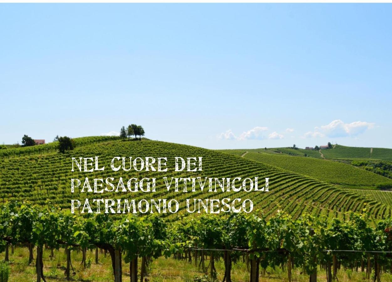 Bed and Breakfast Bed & Tours Dimora Di Campagna Castelnuovo Belbo Экстерьер фото