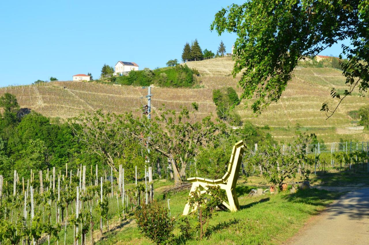 Bed and Breakfast Bed & Tours Dimora Di Campagna Castelnuovo Belbo Экстерьер фото