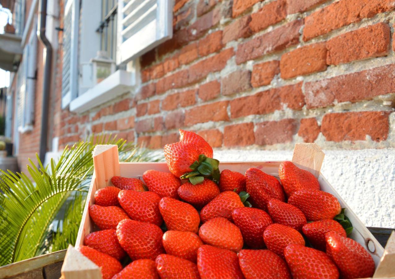 Bed and Breakfast Bed & Tours Dimora Di Campagna Castelnuovo Belbo Экстерьер фото